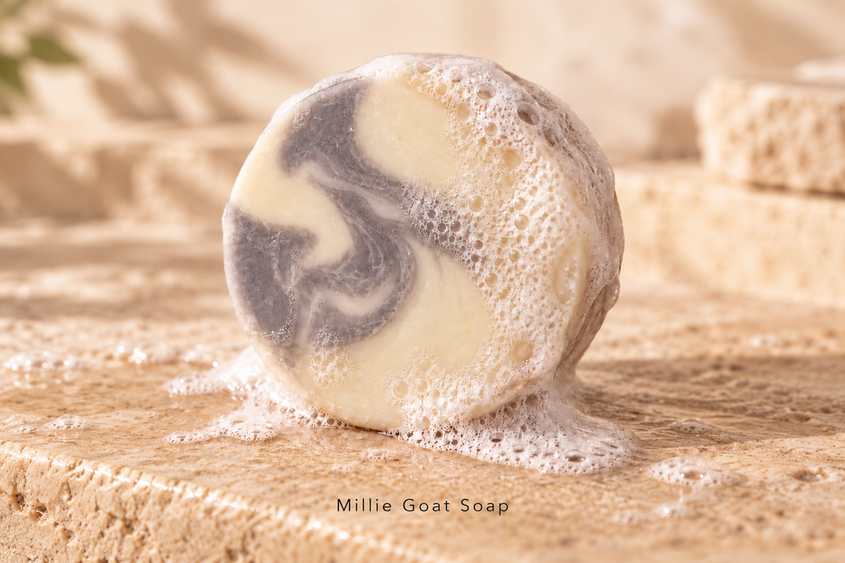 Tallow, Honey + Goat Milk Creamy Face Cleansing Bar Unscented 🤍