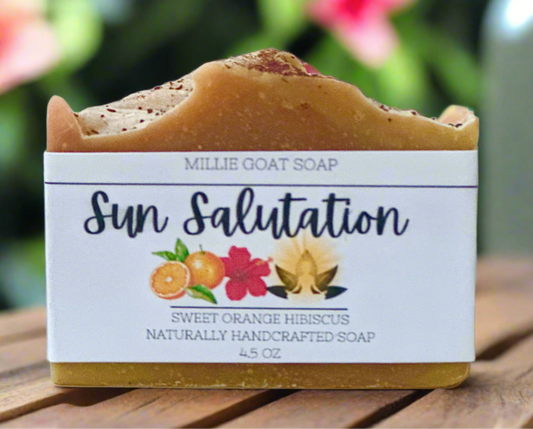 Sun Salutation~Sweet Orange Hibiscus