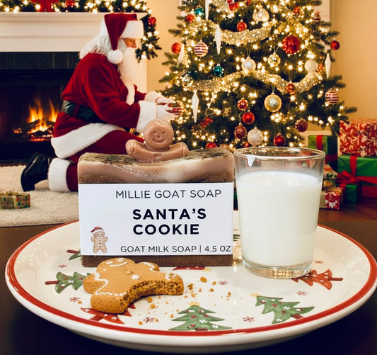 SANTA’S COOKIE SOAP
