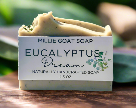 Eucalyptus Dream Soap