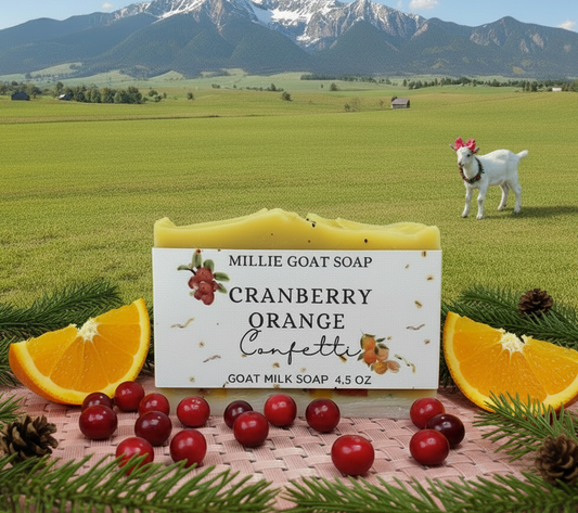 Cranberry Orange Confetti Soap