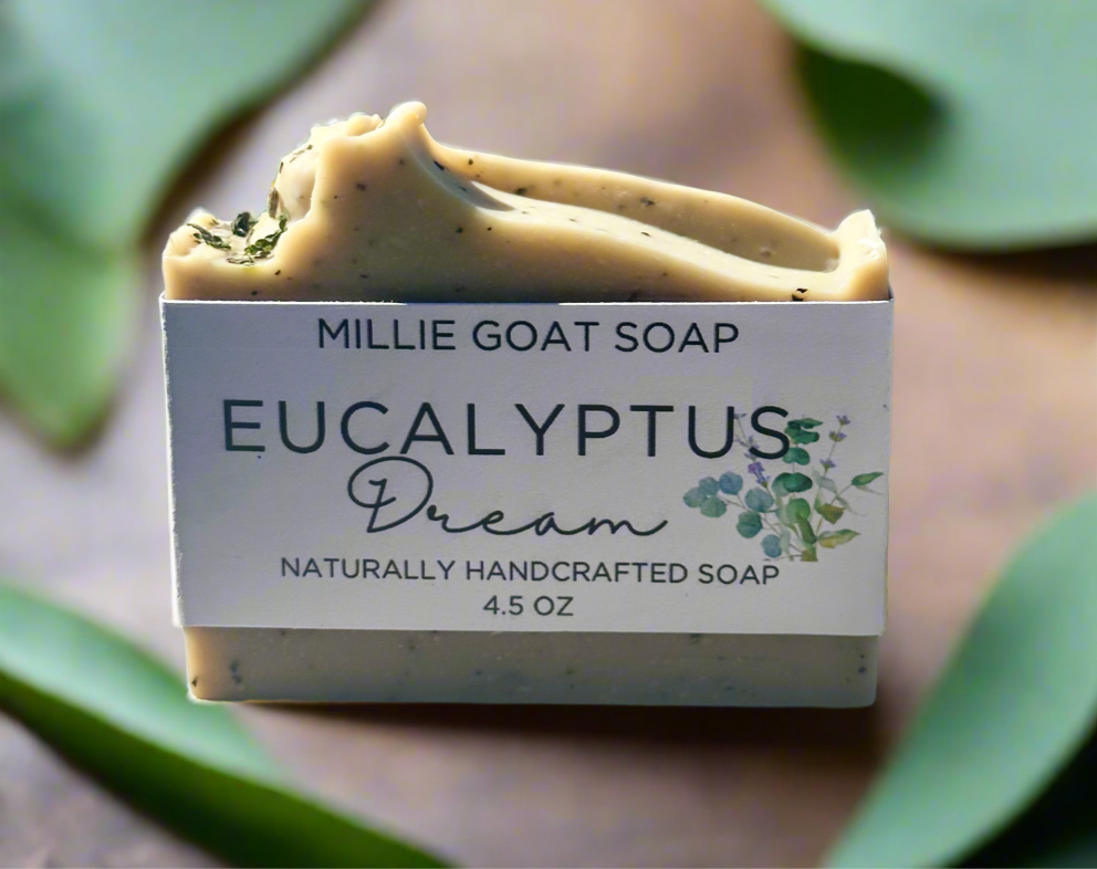 Eucalyptus Dream Soap ~ releasing Sept 1st