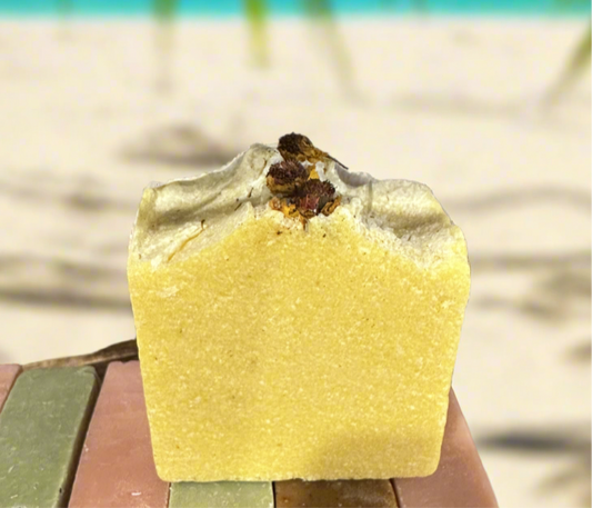 Orange Clove Sea Salt Soap