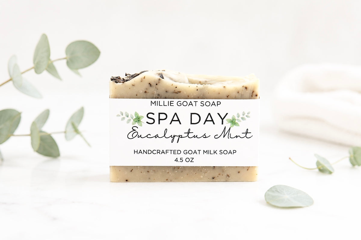 Spa Day Soap (Eucalyptus Mint)