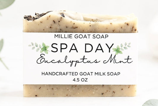Spa Day Soap (Eucalyptus Mint)