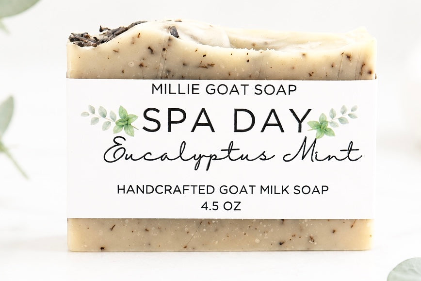 Spa Day Soap (Eucalyptus Mint)