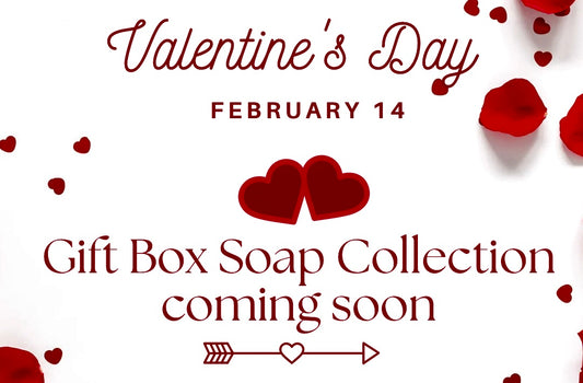 2026 Valentines Gift Set Soap Collection