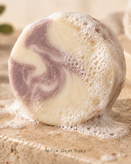 Grassfed Tallow & Honey
Face + Body Soap - Unscented 🤍