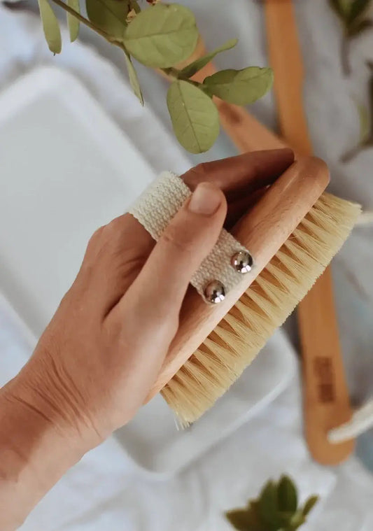XO Natural Dry Brush